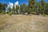 27.5 Acres Jemez Mountains Forest Rd 10 - Photo 33
