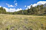 27.5 Acres Jemez Mountains Forest Rd 10 - Photo 34