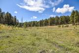 27.5 Acres Jemez Mountains Forest Rd 10 - Photo 35