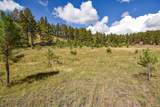 27.5 Acres Jemez Mountains Forest Rd 10 - Photo 36