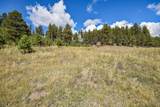 27.5 Acres Jemez Mountains Forest Rd 10 - Photo 37