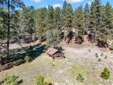 27.5 Acres Jemez Mountains Forest Rd 10 - Photo 38
