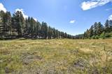 27.5 Acres Jemez Mountains Forest Rd 10 - Photo 39