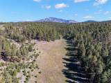 27.5 Acres Jemez Mountains Forest Rd 10 - Photo 4