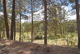 27.5 Acres Jemez Mountains Forest Rd 10 - Photo 41