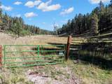 27.5 Acres Jemez Mountains Forest Rd 10 - Photo 42