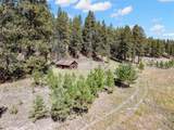 27.5 Acres Jemez Mountains Forest Rd 10 - Photo 43
