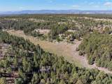 27.5 Acres Jemez Mountains Forest Rd 10 - Photo 44