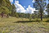 27.5 Acres Jemez Mountains Forest Rd 10 - Photo 6