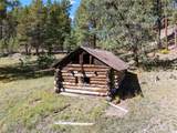 27.5 Acres Jemez Mountains Forest Rd 10 - Photo 7