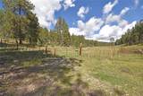 27.5 Acres Jemez Mountains Forest Rd 10 - Photo 8