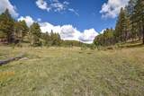 27.5 Acres Jemez Mountains Forest Rd 10 - Photo 9