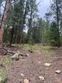 Lot E-2 18.7669 Acres in El Macho Canyon - Photo 3