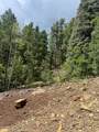 Lot E-2 18.7669 Acres in El Macho Canyon - Photo 4