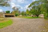 113 County Road 120 - Photo 16