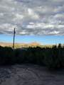 TBD LOT 3 Juniper Road - Photo 13