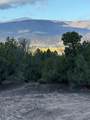 TBD LOT 3 Juniper Road - Photo 16