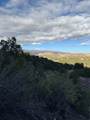 TBD LOT 3 Juniper Road - Photo 21