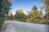 58 Silver Feather Trail - Photo 4