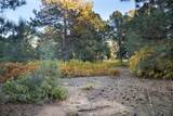 58 Silver Feather Trail - Photo 5