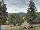31 Bobcat Loop - Photo 14