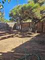 2923 Camino Del Gusto Street - Photo 10