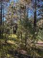 Lot F-2, Section 21,2.024 Acres in El Macho Canyo - Photo 7