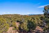 1661 Cerro Gordo - Photo 46