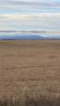 89 B Anaya - Photo 2