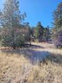 59 Silver Feather Trail - Photo 4