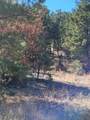 59 Silver Feather Trail - Photo 5