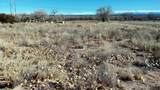 Lot 5 El Porvenir - Photo 18