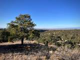 0 Gallina Canyon Road - Photo 21