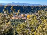 0 Gallina Canyon Road - Photo 5