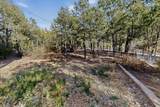 1130 San Diego Loop - Photo 38