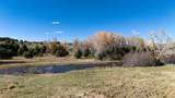 16853 Us-84 - Photo 21
