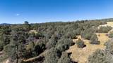 16853 Us-84 - Photo 15