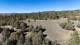 16853 Us-84 - Photo 16