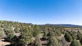 16853 Us-84 - Photo 17