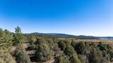 16853 Us-84 - Photo 18