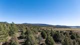 16853 Us-84 - Photo 6
