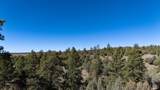 16853 Us-84 - Photo 8