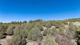 16853 Us-84 - Photo 9