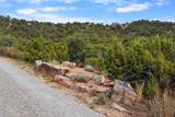 67 Camino Amor - Photo 49