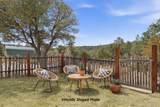 72 Camino Rincon - Photo 44