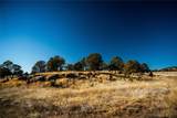 16 Dead Horse Ranch Road - Photo 50