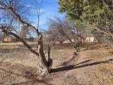 1414 Montana Vista Street - Photo 49