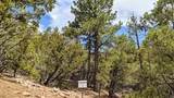 1820 Kachina Heights - Photo 13
