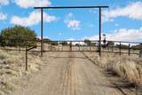 769 Camino Los Abuelos - Photo 56