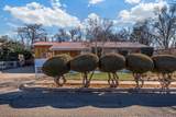 2704 Alamosa Drive - Photo 2